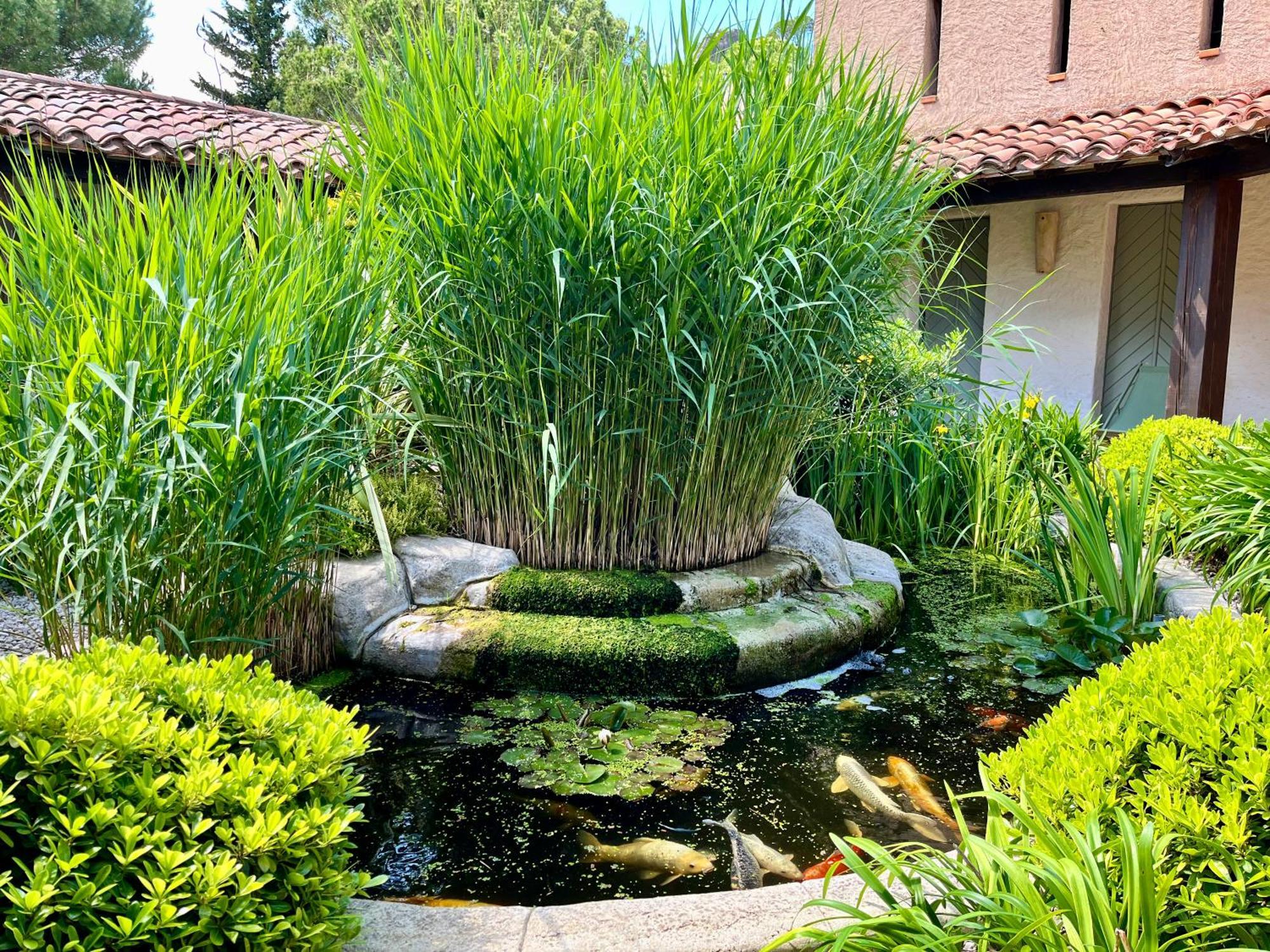 Auberge Val Moureze Hôtel&Spa Buitenkant foto